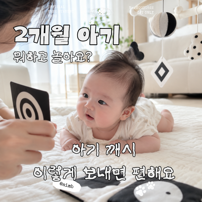 2개월 아기 놀이법 총정리｜터미타임·눈맞춤·옹알이, 발달에 좋은 놀이 10가지