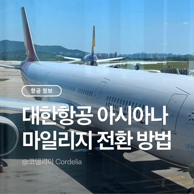 아시아나 마일리지 전환 방법, 대한항공으로 바꾸는 게 좋을까?