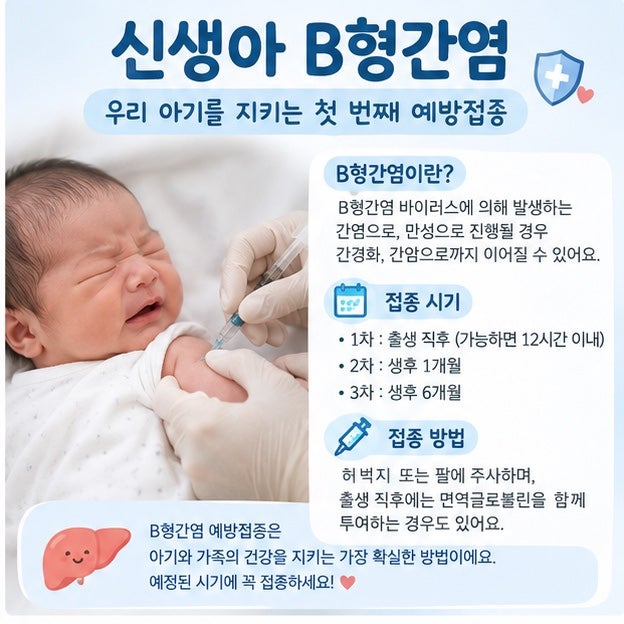 신생아 B형간염 예방접종｜출생 직후 꼭 알아둘 접종 일정