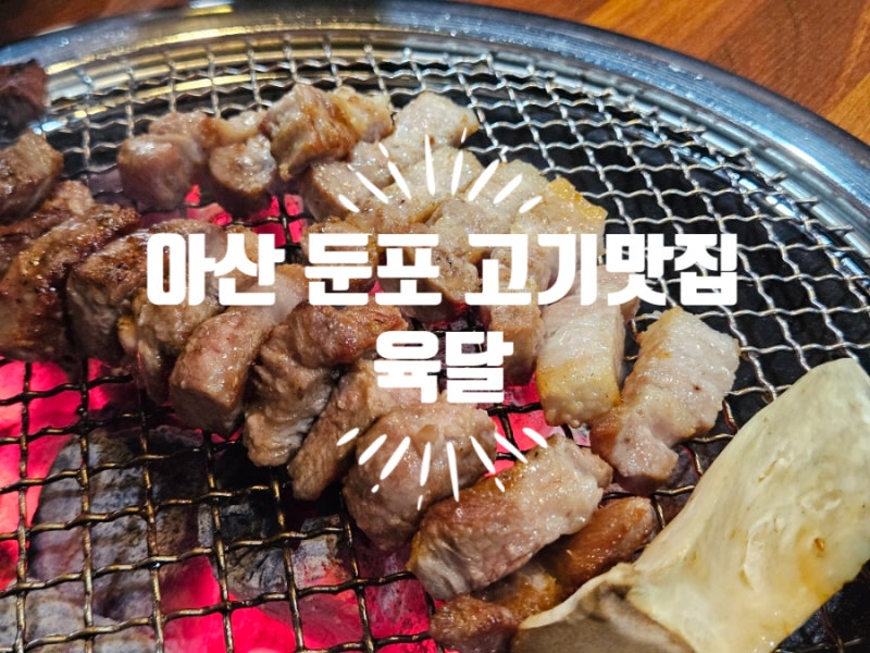 아산 둔포 생고기 맛있는 곳 육달 후기 ㅣ 아산 맛집 추천 '육달'