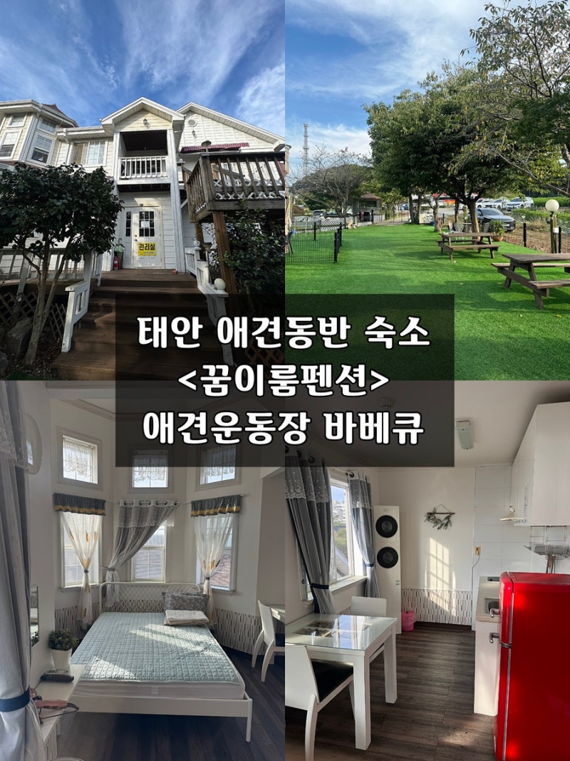 태안 애견동반숙소 바베큐 애견운동장