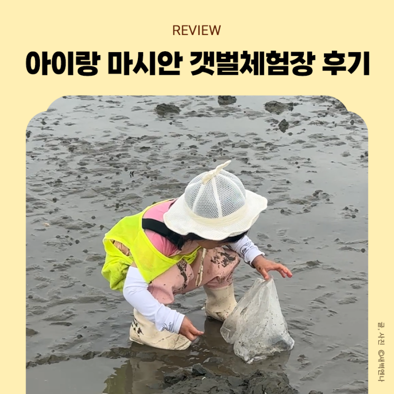 마시안갯벌체험장 29개월 아이랑 조개캐기,샤워실,준비물 후기
