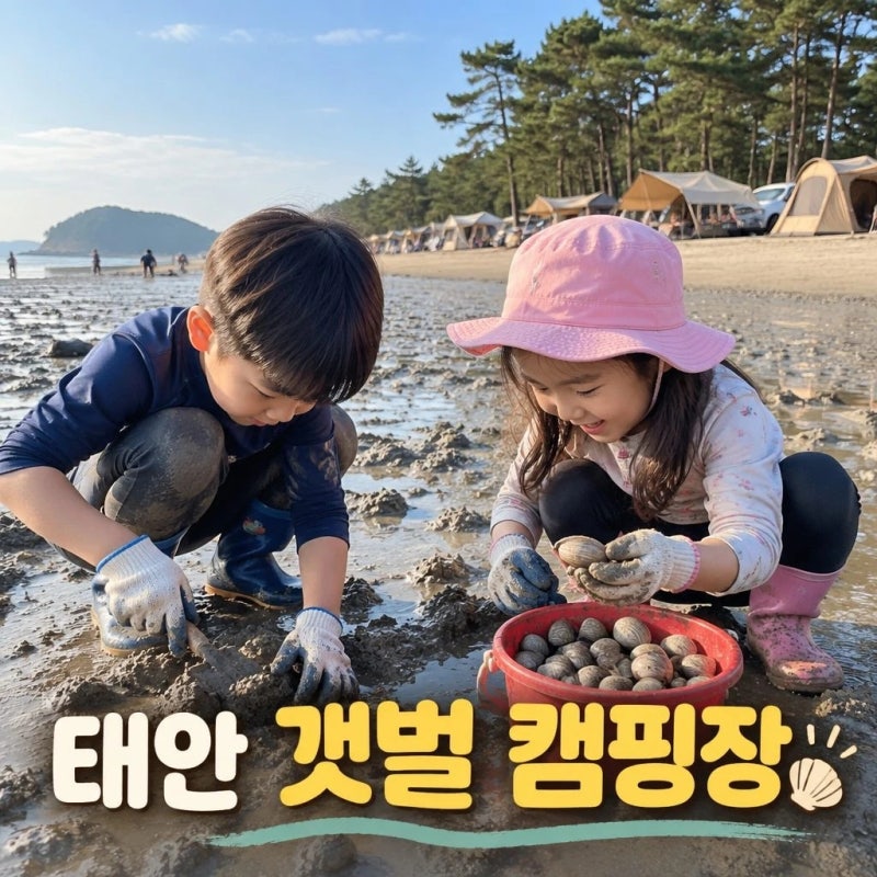 갯벌체험 캠핑장 추천 태안 가족여행 가이드