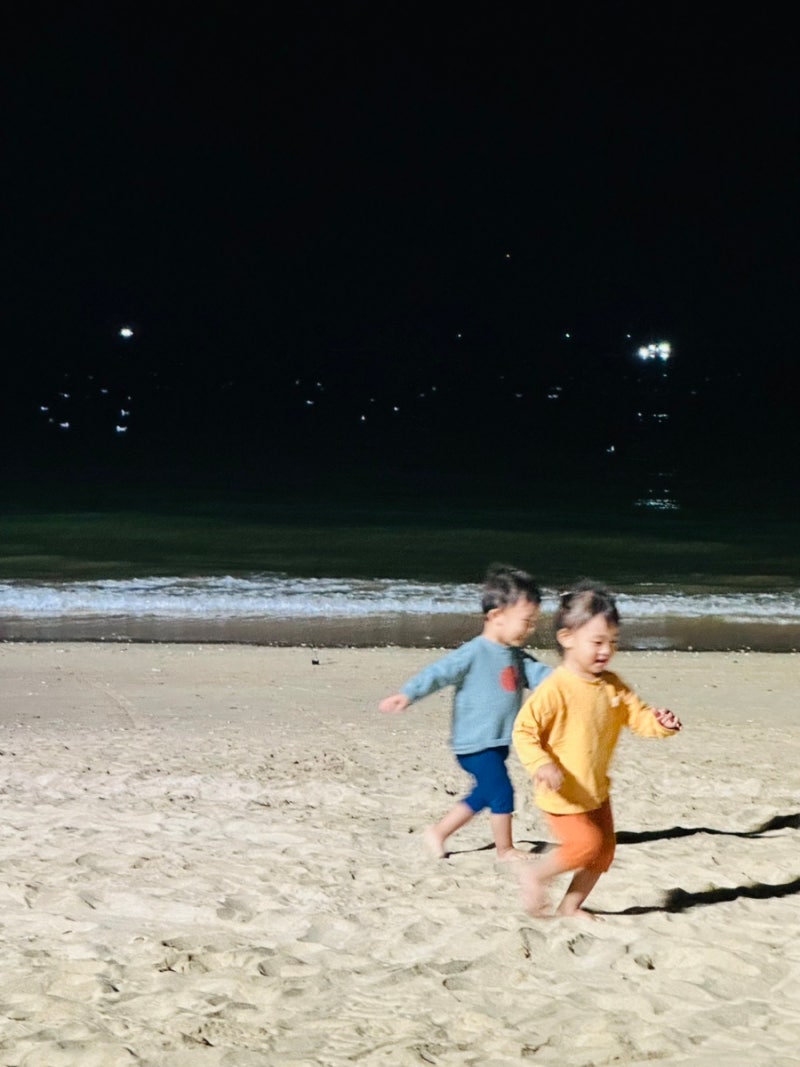충남 보령 가볼만한 곳 대천 보령 맛집 아기랑 추천 코스 [ 보령 문화의 전당 / 대천 해수욕장....