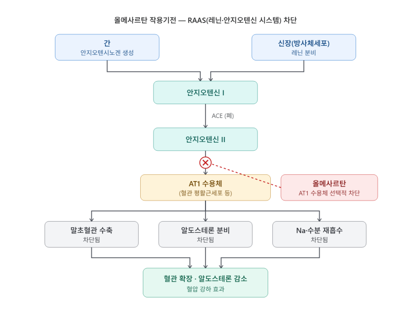 올메사르탄(Olmesartan) / 올메텍.본태성고혈압.뇌졸증위험감소.