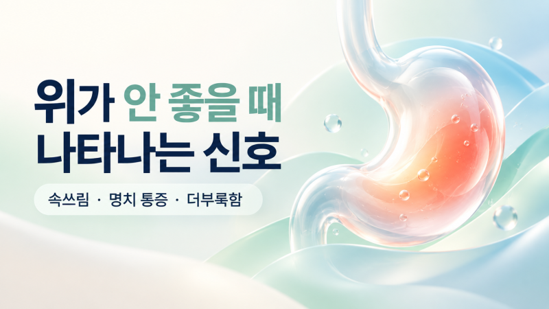 위가 안 좋을 때 나타나는 신호는? 속쓰림·명치 통증과 위내시경 검사