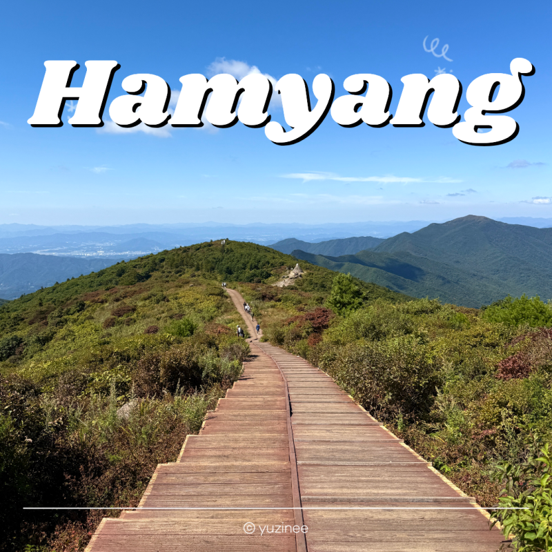 지리산 등산코스 노고단 탐방로 예약 성삼재휴게소 주차 입산시간 소요시간 난이도 코스 후....