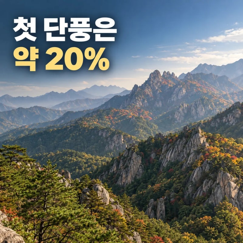 설악산 단풍 2026, 9월 28일 첫 단풍…절정은 따로 확인하세요