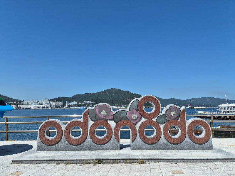 여수 해남 여행 2일차｜오동도 자전거부터 서대회+대흥사+장수통닭까지