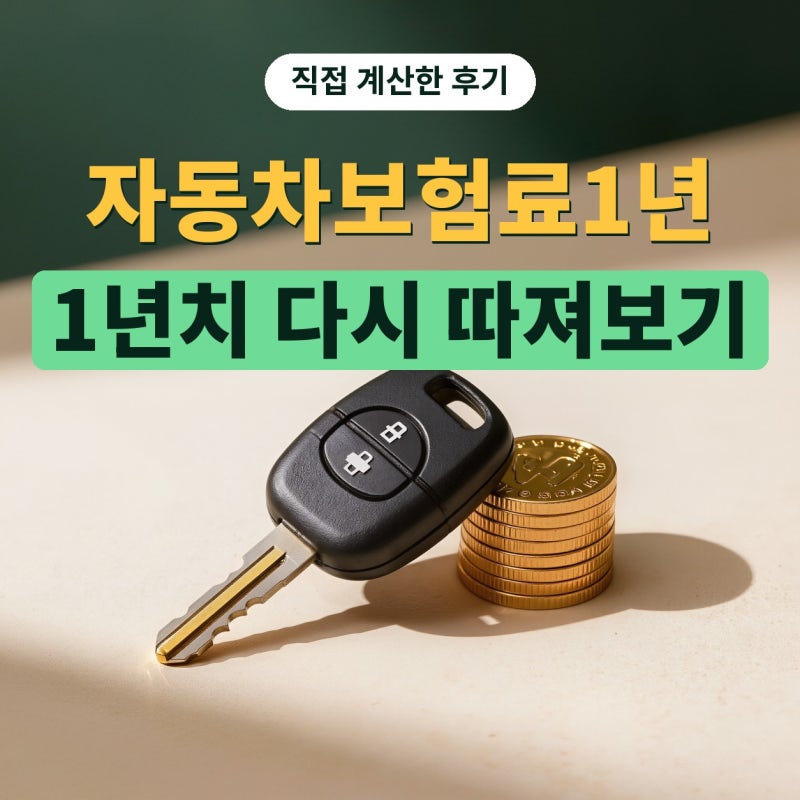 자동차보험료1년치 다시 따져본 후기, 자동차보험계산은 이렇게 했어요 (차통령)