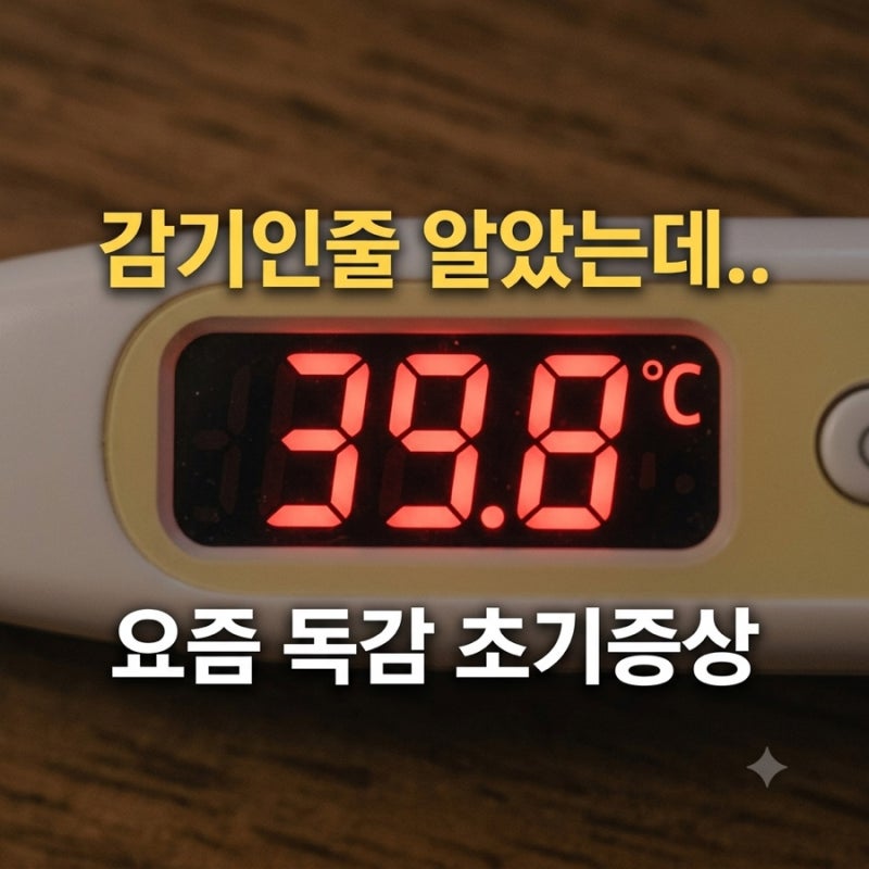 “감기인 줄 알았는데 독감?” 요즘 독감 초기에 나타나는 증상 7가지
