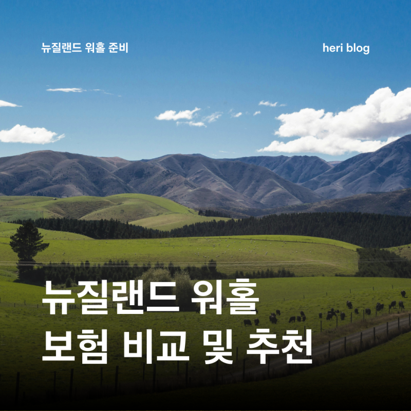 뉴질랜드 워홀 준비 | 4️⃣ 워홀 보험 비교 추천 | 마이뱅크 VS 어시스트 카드 뭐가 좋을까? (....