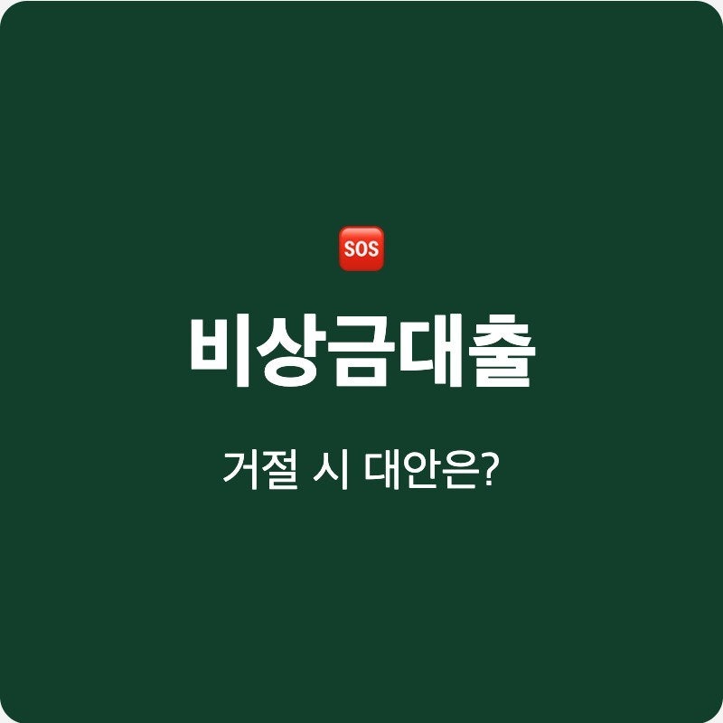 비상금대출 거절 300만원 정책금융 대안 방법 서민금융 가능한가요