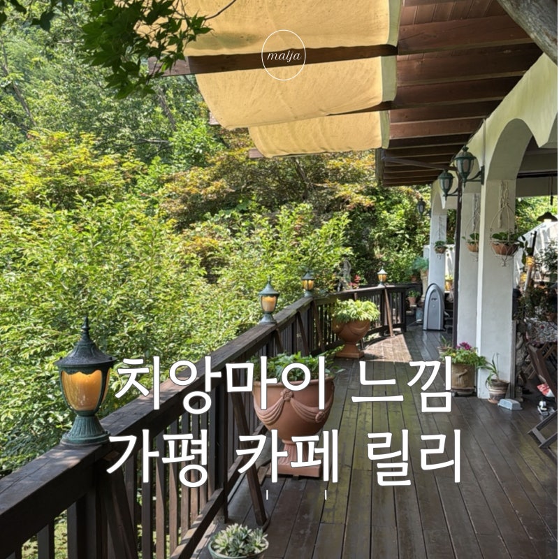 가평 대형카페 릴리, 치앙마이 감성 숲뷰 테라스｜가평 카페 가볼만한 곳