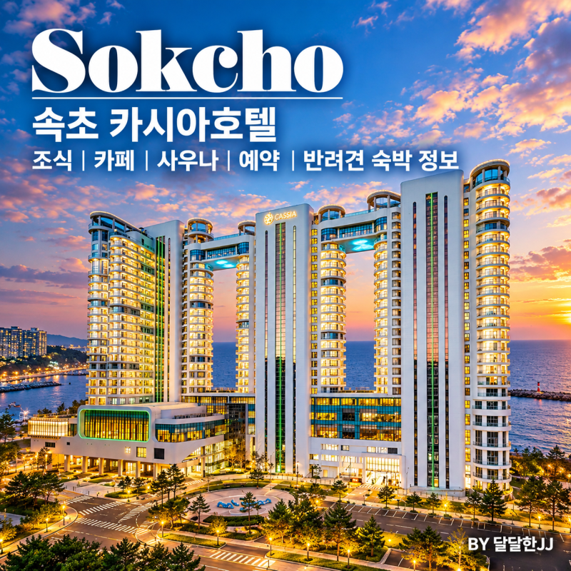 속초 카시아호텔 조식 카페 사우나 예약 반려견 숙박 정보
