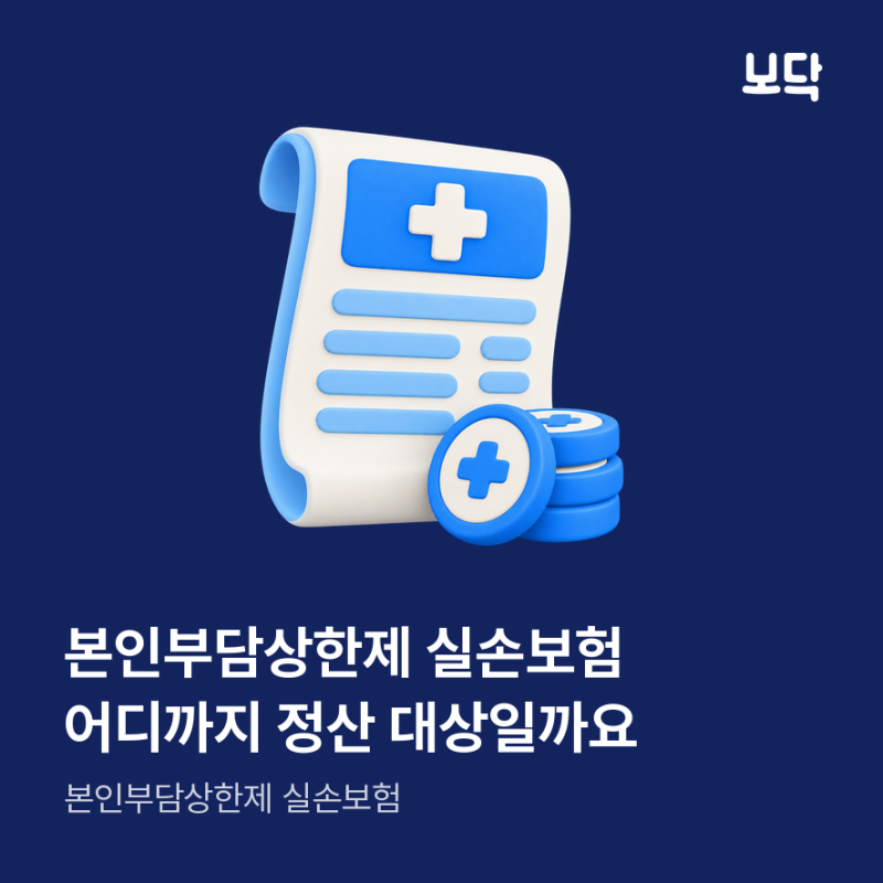 본인부담상한제 실손보험, 어디까지 정산 대상일까요