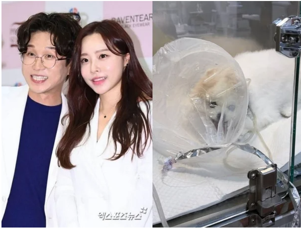 박성광, 반려견 위독한데 ♥이솔이부터 챙겼다…"아니, 자기 말이야" 위로 [★해시태그]