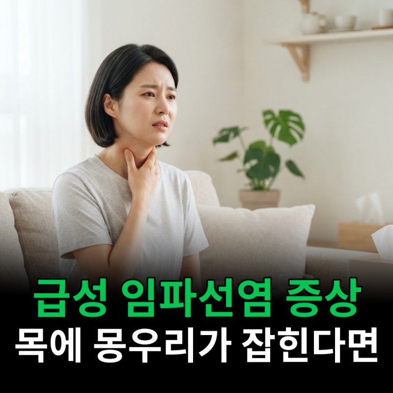 급성 임파선염 증상 목에 몽우리가 잡혀서 놀랐어요