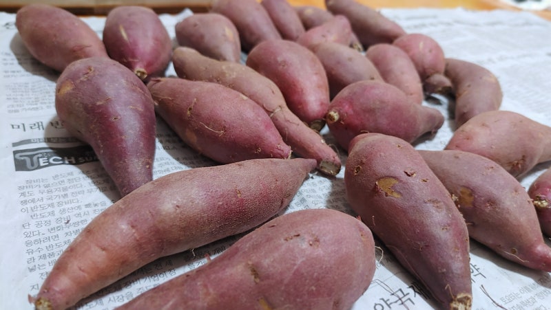 고구마 보관방법, 썩지 않고 달콤함 그대로! 오래 먹는 꿀팁