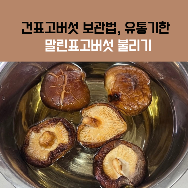 건표고버섯 보관법부터 유통기한, 말린표고버섯 불리기