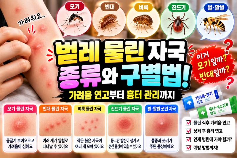 벌레 물린 자국 종류 어떻게 구별할까? 모기·빈대·벼룩부터 흉터·연고까지 총정리