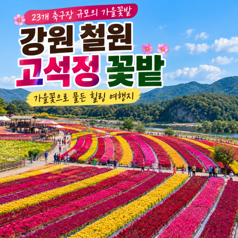 2026 철원 고석정 꽃밭 가을 개장! 15만 송이 꽃물결, 입장료부터 주변 여행코스까지