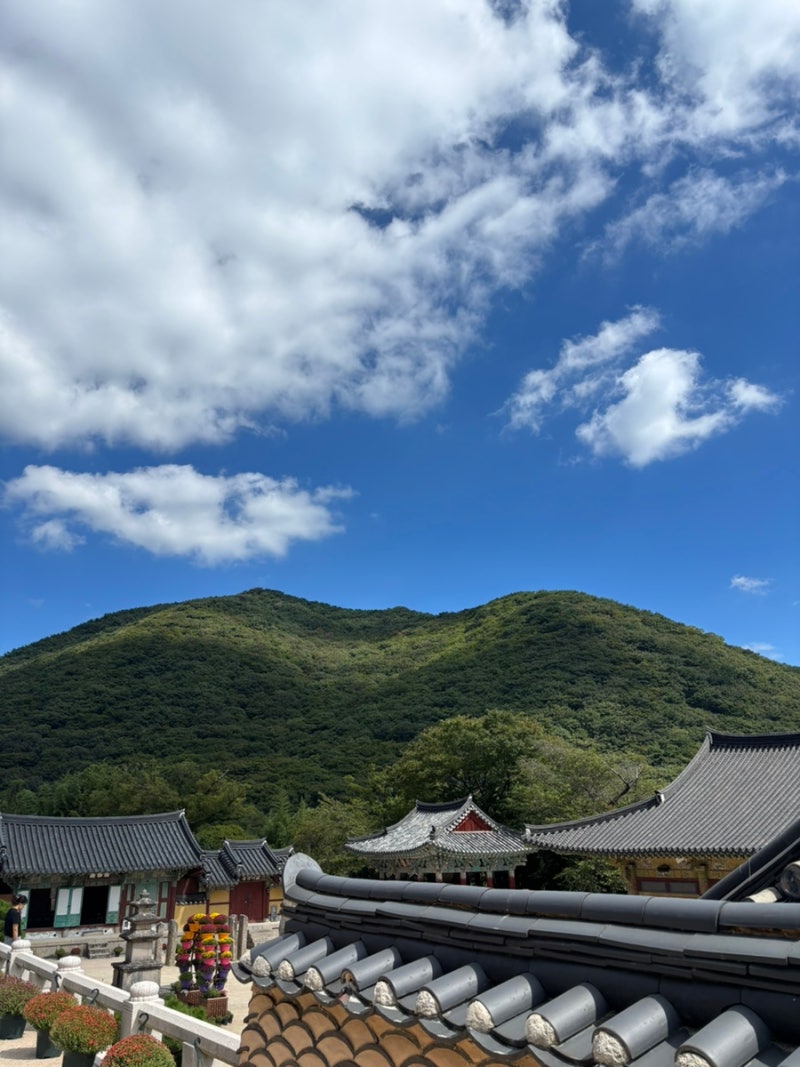 釜山東莱梵魚寺｜静かに祈るのに良い祈りの名所、釜山梵魚寺で寺院の食事を体験したレビュー