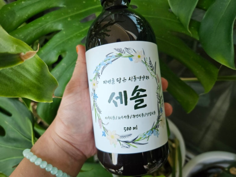 올여름 고생한 우리 베란다 식물들, 가을 겨울 준비카보네 carbonen 세솔 식물영양제로 시작해....