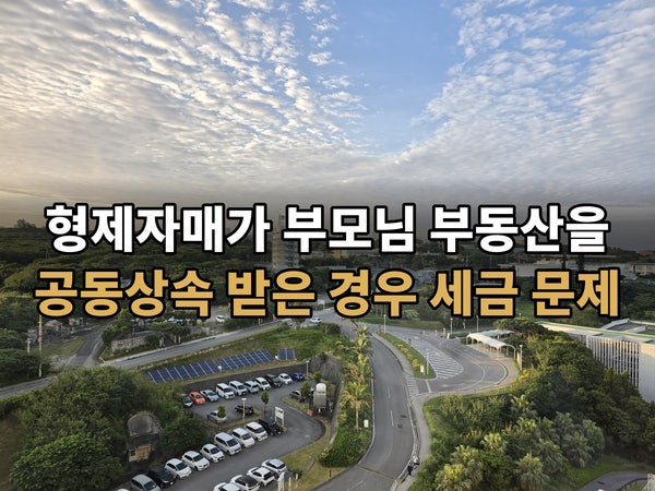 형제자매가 부동산을 공동상속받았다면, 세금은 어떻게 될까