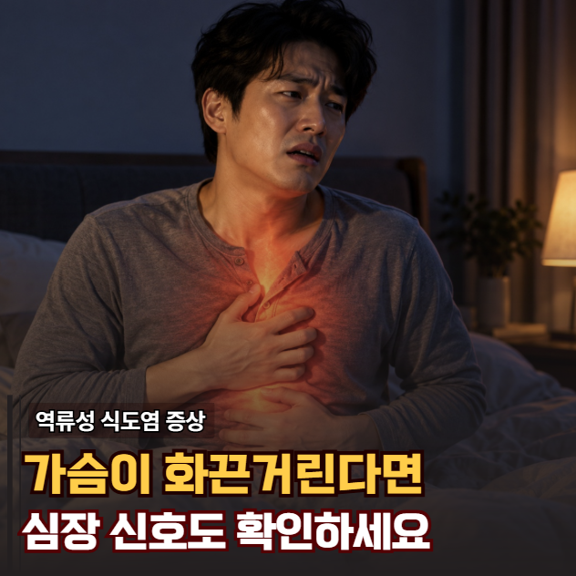 "먹고 바로 누웠더니 가슴이 화끈" 역류성 식도염 증상, 심장 통증과 다른 점