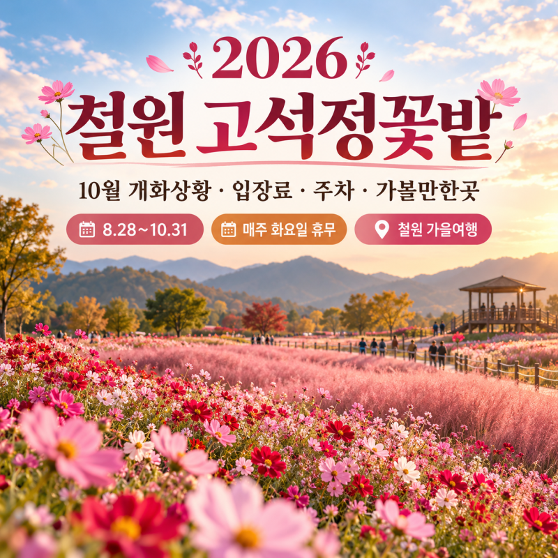 2026 철원 고석정꽃밭 10월 개화상황·입장료·주차·가볼만한곳 총정리