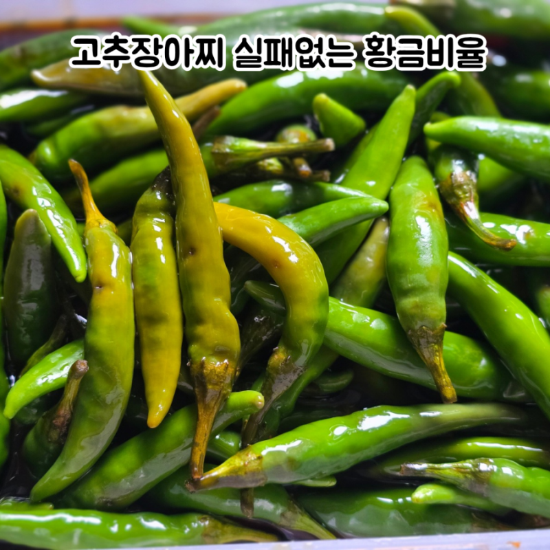 고추장아찌 만드는법 아삭한 고추 간장장아찌 황금비율