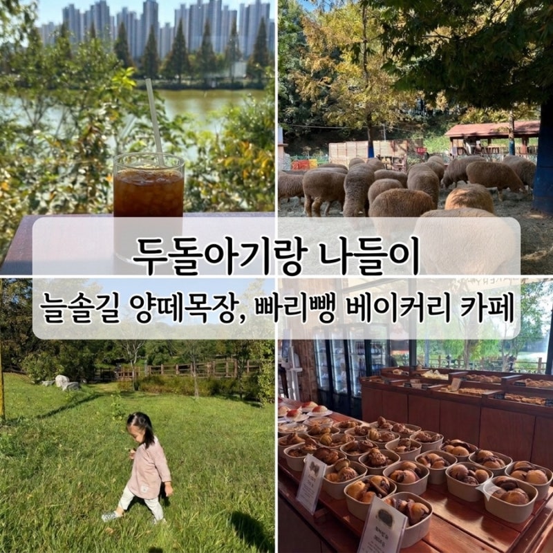 [두돌 아기랑 나들이] 늘솔길 양떼목장, 빠리뺑 베이커리 카페