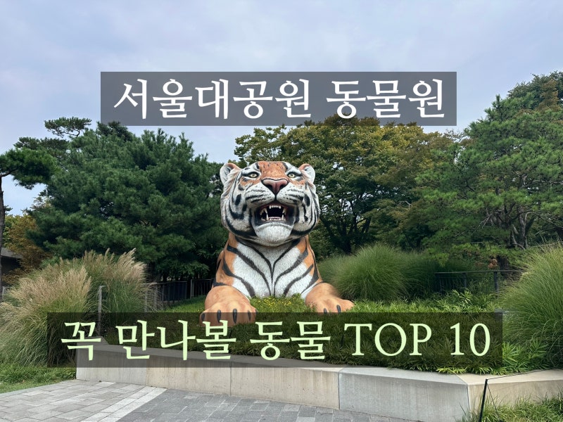 서울대공원 동물원 꼭 봐야 할 동물 TOP 10 아이와 직접 보고 온 후기