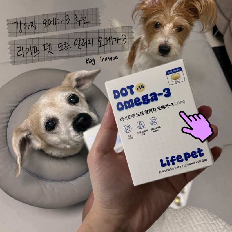 작아서 먹이기 편한 강아지 영양제 오메가3 추천 라이프펫 오메가3