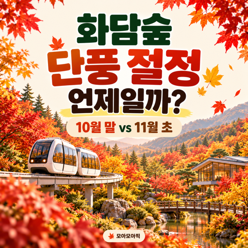 화담숲 단풍 절정 언제일까? 10월 말·11월 초 예약 날짜와 오전·오후 방문 시간 비교