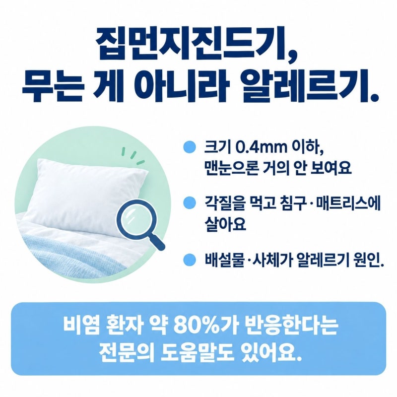 집먼지,침대 진드기 물린자국 , 퇴치방법 총정리