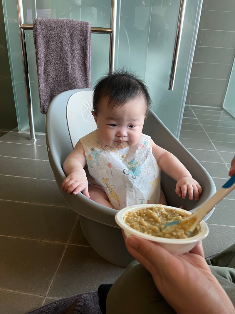 초기 이유식 식재료 준비물 리스트 | 쌀가루 안 쓴 이유, 난각번호 1번 계란, 실온 이유식·일....