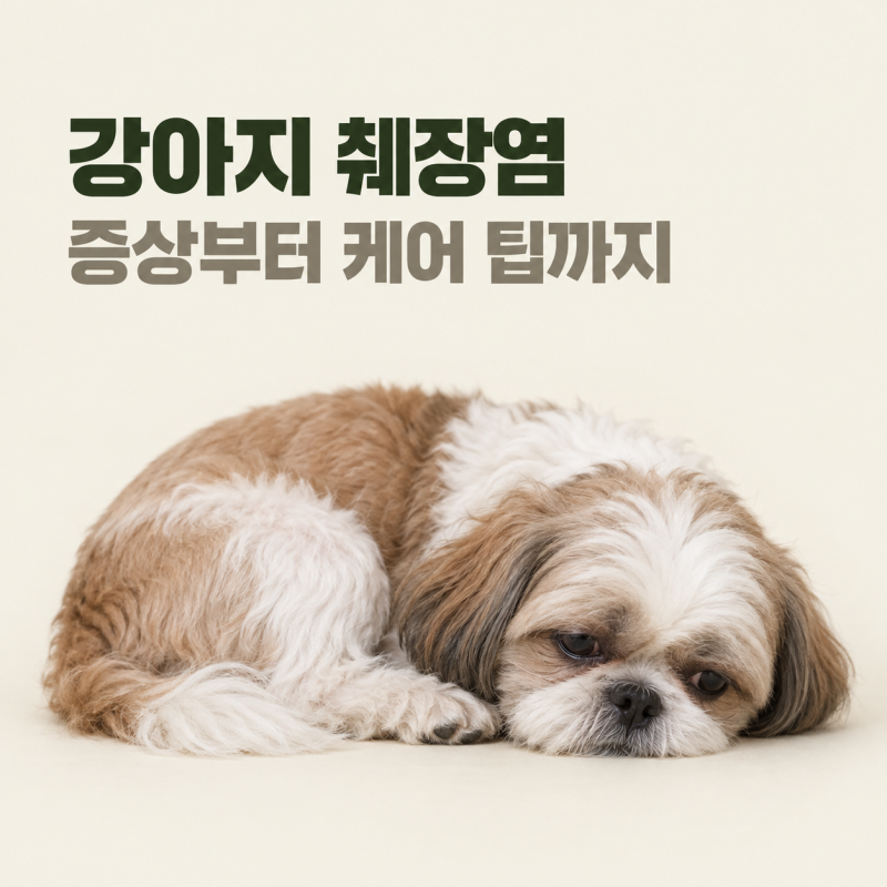 강아지 췌장염 증상, 케어 팁