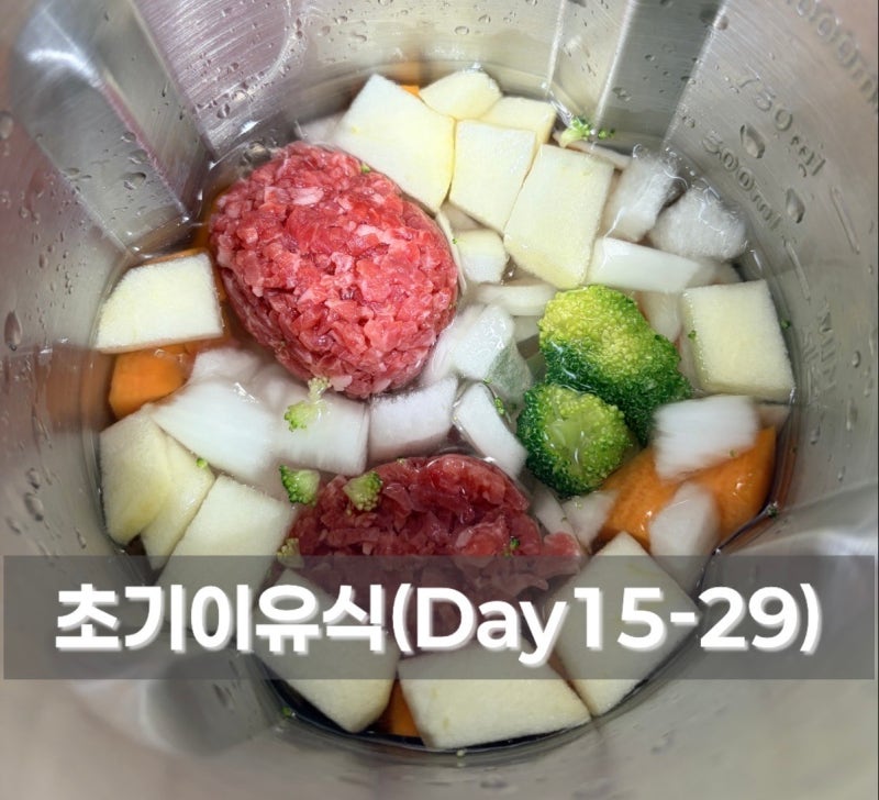 초기이유식 | 이유식 15~29일차 | 브로콜리 단호박 당근 비타민(다채) 양파 땅콩 사과 노른자