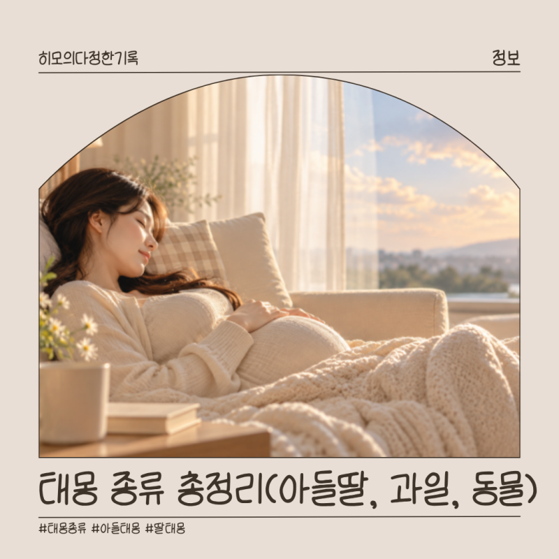 태몽 종류와 뜻 총정리, 아들 딸 태몽부터 동물·과일 태몽까지