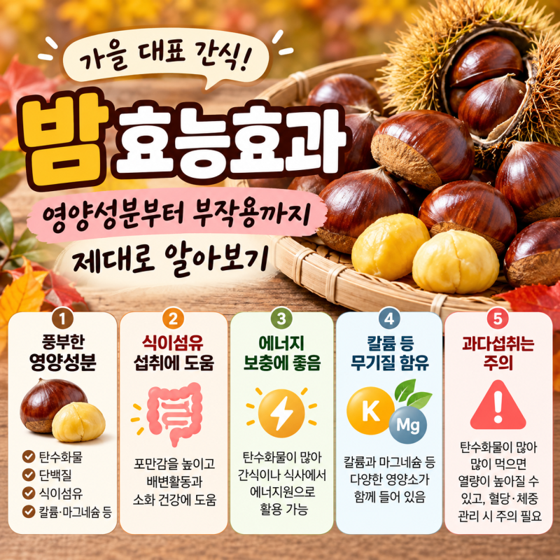 밤효능효과 제대로 알아보기｜삶은밤·찐밤 효능과 부작용까지