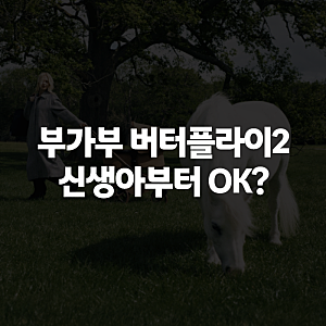부가부 버터플라이2 플러스, 신생아부터 써도 될까 가격·컵홀더까지 정리