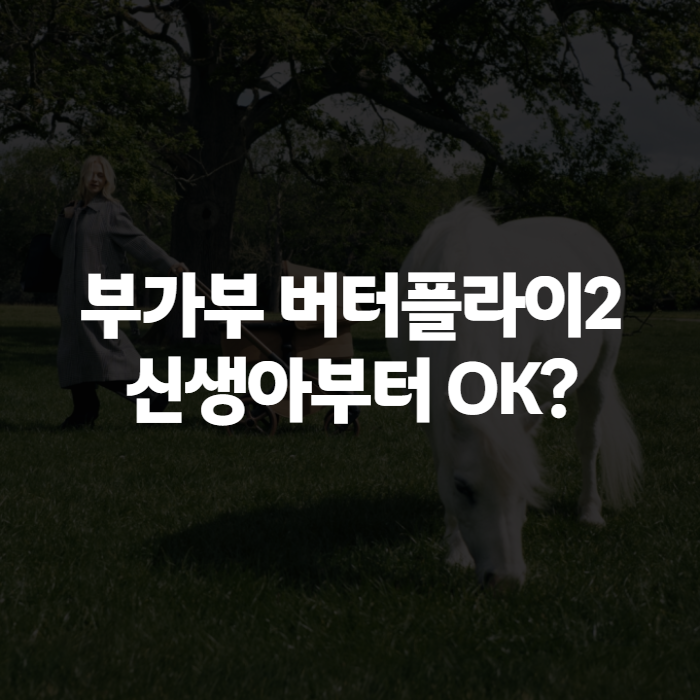 부가부 버터플라이2 플러스, 신생아부터 써도 될까 가격·컵홀더까지 정리