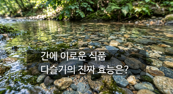 [다슬기의 효능] 민물 웅담 다슬기는 진짜 간에 좋은 음식일까? 영양성분. 섭취요령. 부작....