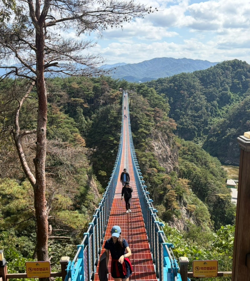 Recommended Must-Visit Places in Wonju, Gangwon-do (Sogeumsan Suspension Bridge, Huni Kkotgejang Restaurant near Oak Valley, and more)
