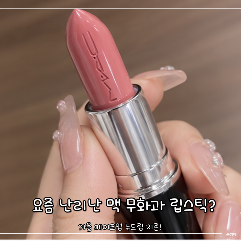 요즘 난리난 맥 무화과 립스틱 뭐길래? 가을 누드립 지존 셀아웃 542 발색