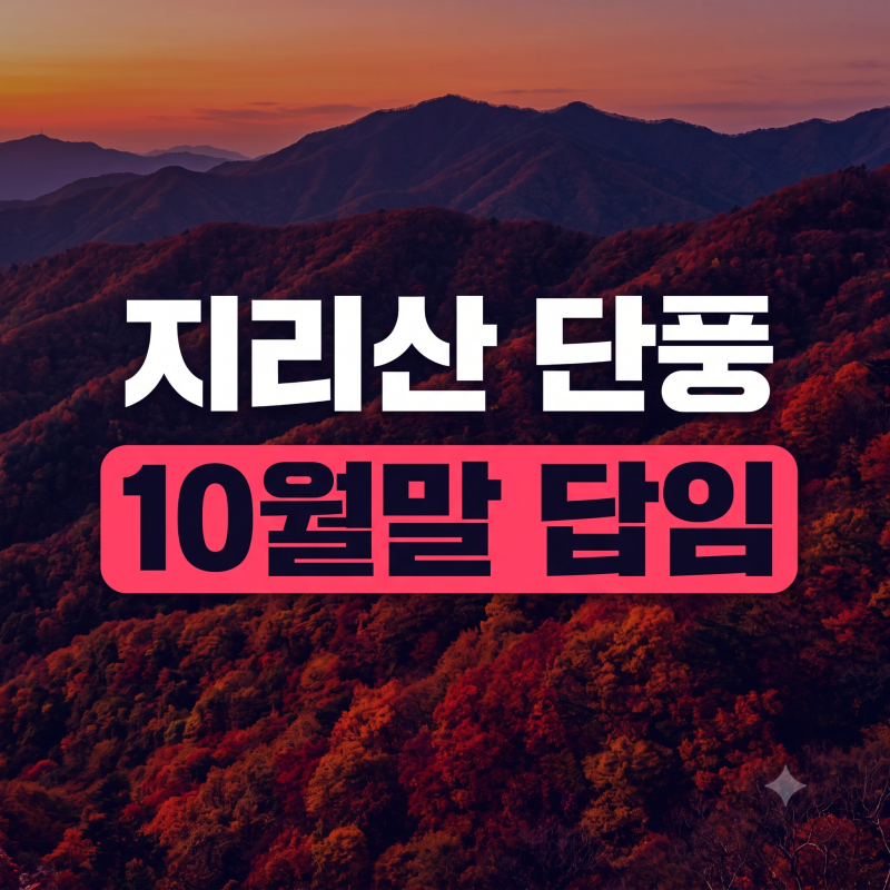 지리산 단풍시기부터 명소·등산코스·숙소·축제까지 가을 여행 총정리
