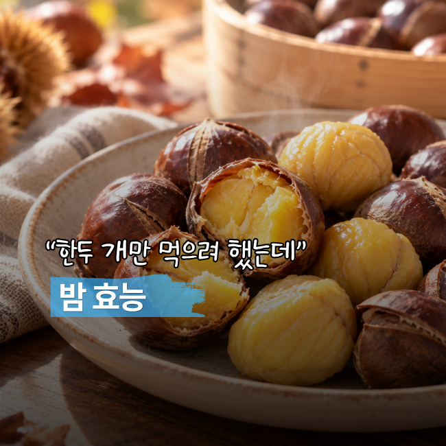 “한두 개만 먹으려 했는데…” 밤 효능, 많이 먹으면 생기는 변화 5가지