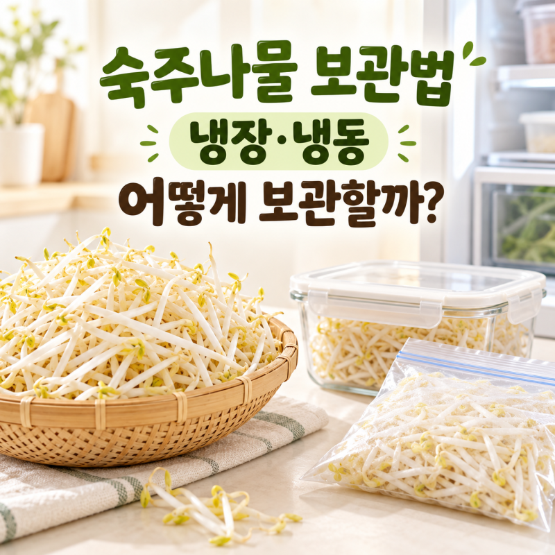 숙주나물 보관법, 냉장 보관부터 데쳐서 냉동하는 방법까지